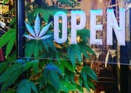 Buy weed in Eindhoven