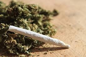 Buy weed in Palermo