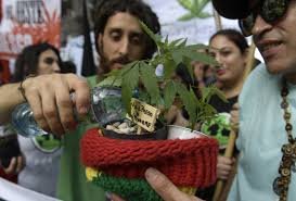 Buy weed in Tel Aviv