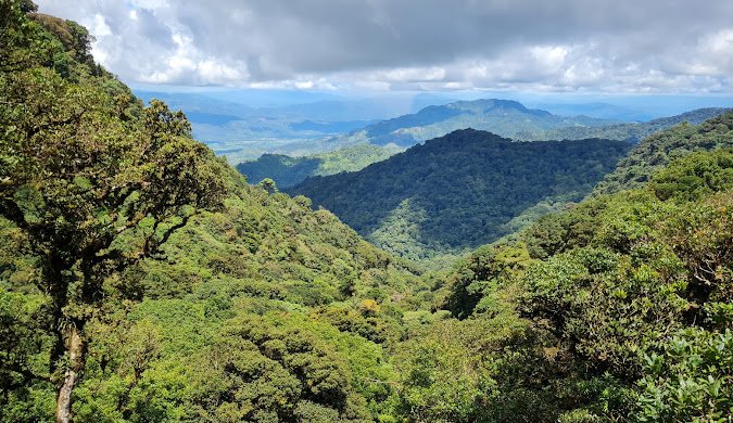 Buy weed in Tegucigalpa